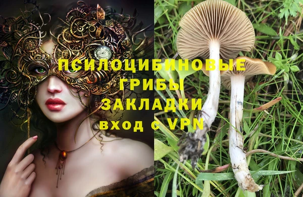 хмурый Куйбышев