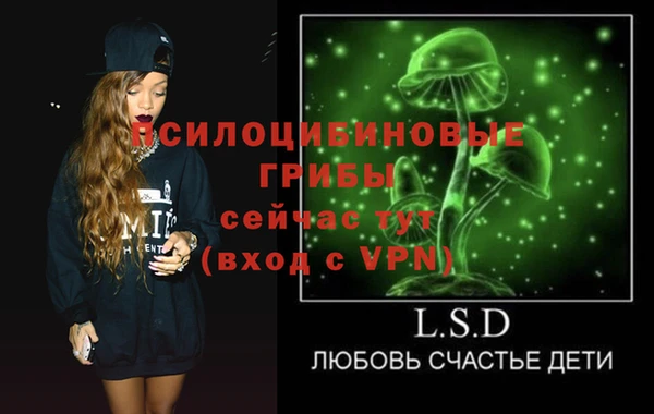 хмурый Куйбышев