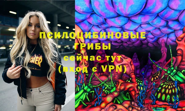 хмурый Куйбышев