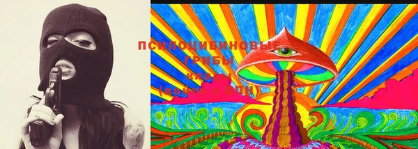 хмурый Куйбышев