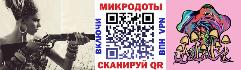Псилоцибиновые грибы Cubensis  Купить закладки  Калач 